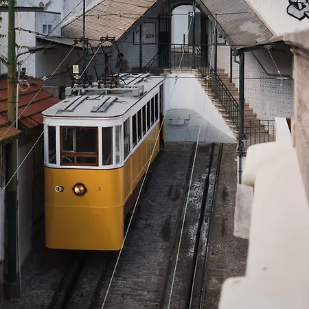 Casa de hóspedes Torel Palace Lisboa