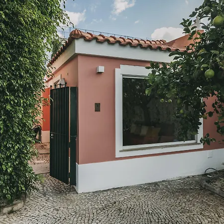 Casa de hóspedes Torel Palace Lisboa